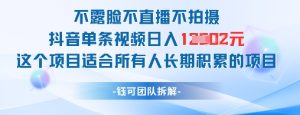 不露脸不直播不拍照抖音视频一条短视频日入1k 这样的项目适合所有人长期积累的新项目-创业资源网