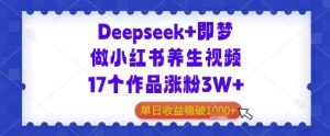 Deepseek 即梦做小红书的中医养生视频17个作品增粉3W 单日盈利多张-创业资源网