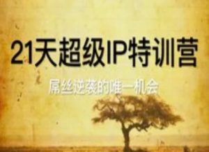 21天非常IP夏令营,屌丝的逆袭的唯一机遇-创业资源网