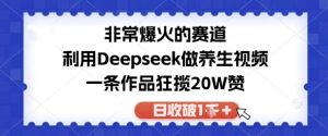 十分爆红的跑道，运用Deepseek做中医养生视频，一条著作斩获20W赞，日收破1k-创业资源网