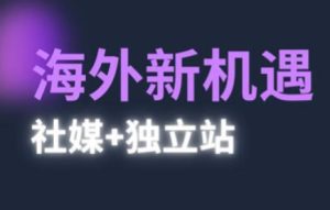 2025出航机遇与挑战(社交媒体 自建站)，国外机遇与挑战，完成独立站的高效管理与出航-创业资源网