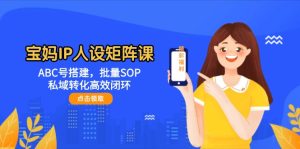 宝妈妈IP人物关系引流矩阵课:ABC号构建,大批量SOP,私域转化高效率闭环控制-创业资源网
