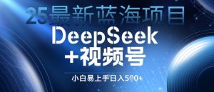 25全新蓝海项目DeepSeek 微信视频号,新手上手快日入多张-创业资源网