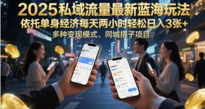 2025私域流量池全新瀚海游戏玩法，借助单身经济每日两个小时轻轻松松日入3张 ，多种多样变现方式，同城网搭单项工程-创业资源网