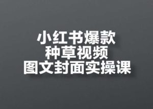 小红书爆款种草视频图文并茂封面图实操课,开实体店、选款、引流方法、转现全过程-创业资源网