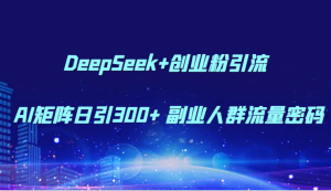 DeepSeek 自主创业粉引流方法 AI引流矩阵日引300  第二职业群体总流量登陆密码-创业资源网