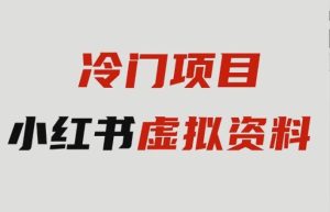 抖音小红书卖虚拟资料，市场需求一直存在，矩阵操作，月入1w+-创业资源网