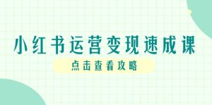 小红书运营转现速成课，账户构建到暴力行为养号，本人IP全过程手册-创业资源网