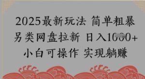 百度云盘引流，小众游戏玩法，纯拾钱月入8k，0基本新手也可以做-创业资源网
