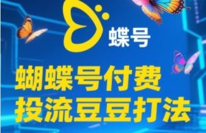 2025彩蝶号付钱投流毛毛玩法,助初学者快速上手付费推广撬起自然流的核心玩法-创业资源网