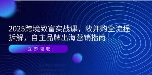 2025跨境电商发家致富实战演练课，收并购全过程拆卸，自有品牌出海营销手册-创业资源网