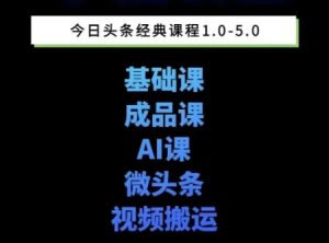 头条图文课1-5期教你头条图文写作、微头条、视频搬运变现，适合新手快速起号玩法-创业资源网