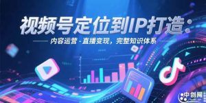 视频号定位到IP打造：账号搭建-内容运营-直播变现，完整知识体系-创业资源网