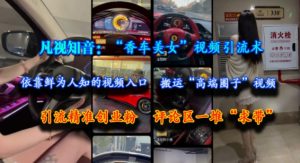 凡视知音：“香车美女”视频引流术，依靠鲜为人知的视频入口，搬运“高端圈子”视频，引流精准创业粉，评论区一堆“求带”-创业资源网