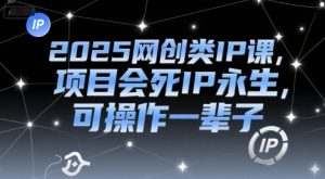 2025网创类IP课，项目会死IP永生，可操作一辈子-创业资源网