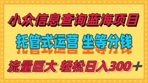 稳定日入300+,小众信息查询蓝海项目,全程懒人式托管,解放你的时间-创业资源网