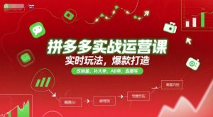 拼多多实战运营课，实时玩法，爆款打造，改销量，补大单，AB单，直播等-创业资源网