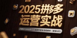 2025拼多多运营实战:店铺定位选品技巧,爆款打造全流程解析-创业资源网