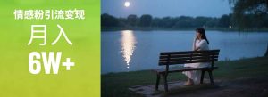 情感粉引流变现实操课:单月变现6w+,情感粉引流变现实操课-创业资源网