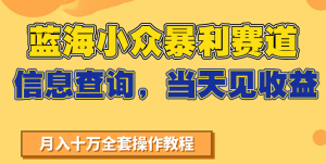 蓝海小众暴利赛道，信息查询，当天见收益，不讲玄学，7天搞了2万+-创业资源网