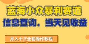 蓝海小众暴利赛道，信息查询，当天见收益，不讲玄学，7天搞了2W+-创业资源网