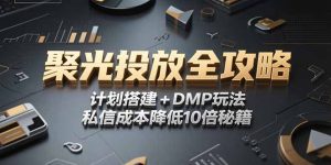 2025小红书聚光投放全攻略，计划搭建+DMP玩法，私信成本降低10倍秘籍-创业资源网