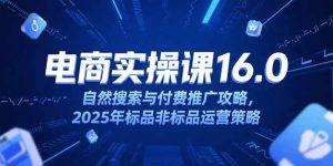淘宝电商运营课16.0，自然搜索与付费推广攻略，2025年标品非标品运营策略-创业资源网
