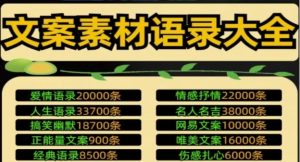 抖音文案大全情感语录素材短视频书单号励志语录口播搞笑段子剧本-创业资源网