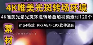 120组高清唯美Pr光晕炫光光斑电影MV婚礼光效转场MP4特效视频素材-创业资源网