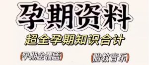 备孕孕期全攻略教程顺产宝典胎教音乐食谱营养护肤运动课电子资料-创业资源网