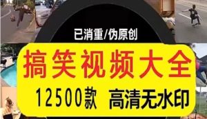 搞笑视频素材抖音西瓜快手中视频自媒体剪辑好玩沙雕高清无水印-创业资源网