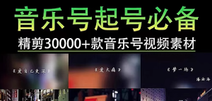 音乐号情感伤感DJ夜店抖音起号开车流泪热舞高清自媒体短视频素材-创业资源网