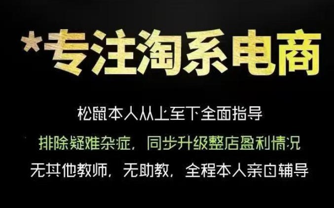 松鼠会电商VIP课程，从基础布局到高阶优化，助你掌握淘宝运营逻辑，提升店铺流量与转化（更新0809）-创业资源网