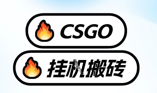 真全网独家CSGO挂G，最新玩法,单日捡漏1K+，不用电脑，不用打游戏【揭秘】-创业资源网