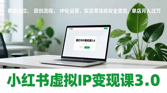 （17029期）小红书虚拟IP变现课3.0，赛道定位、原创流程、IP化运营，实现零违规安全变现，单店月入过万-创业资源网