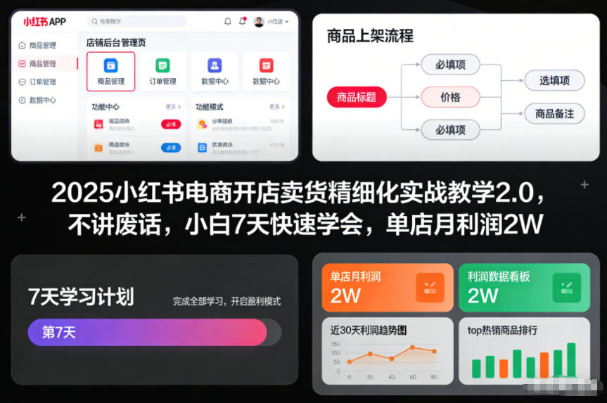 2025小红书电商开店卖货精细化实战教学2.0，不讲废话，小白7天快速学会，单店月利润2W-创业资源网