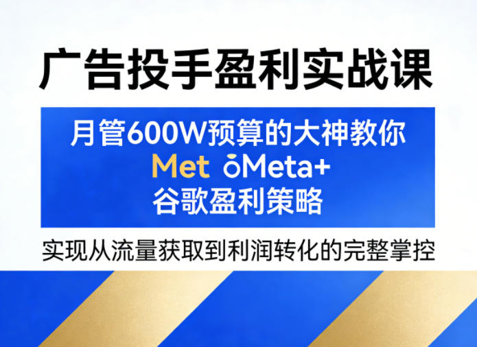 广告投手盈利实战课，月管600W预算的大神教你Meta+谷歌盈利策略，实现从流量获取到利润转化的完整掌控-创业资源网