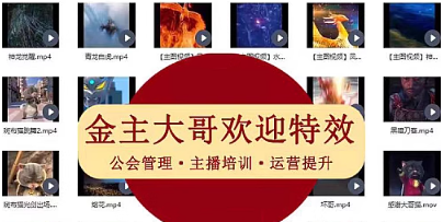 2200+款直播特效大哥大姐出场排面视频感谢欢迎直播超清素材特效-创业资源网