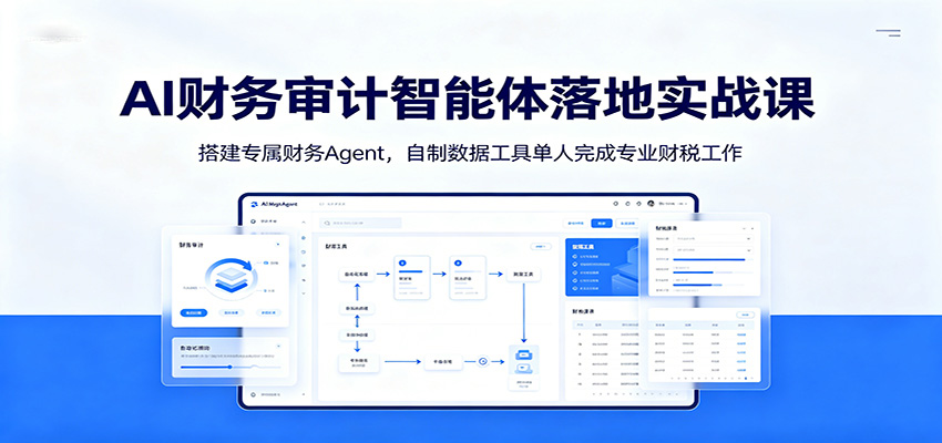 AI财务审计智能体落地实战课：搭建专属财务Agent，自制数据工具单人完成专业财税工作-创业资源网