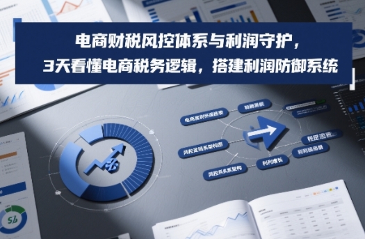 电商财税风控体系与利润守护，3天看懂电商税务逻辑，搭建利润防御系统-创业资源网