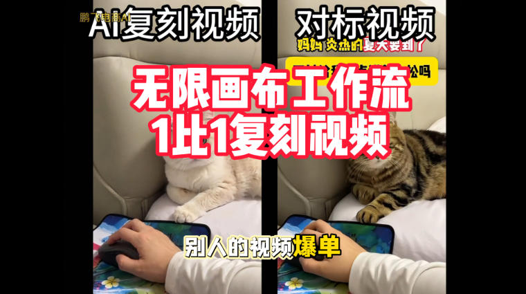 宠物带货视频复刻，无限画布工作流1比1，不用拍摄、不用布景、不用真人出镜，几分钟就能做出一条专业带货视频-创业资源网