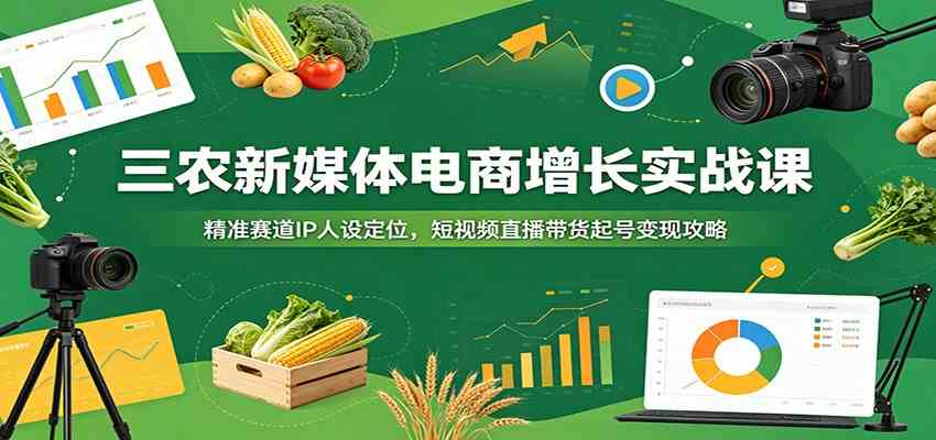 三农新媒体电商增长实战课：精准赛道IP人设定位，短视频直播带货起号变现攻略-创业资源网