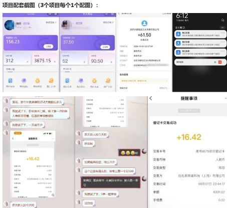 当天能收益的3个小项目拆解_包括平台+操作流程-创业资源网
