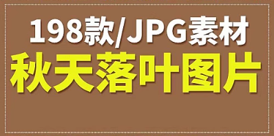 高清唯美秋季金秋树林落叶风景背景影楼婚纱图库PS设计图片素材-创业资源网