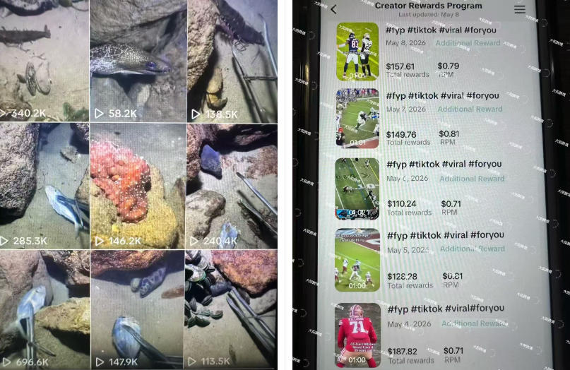 Tiktok中视频解说教程,体育+温情文案双赛道实操教程一站式带你落地,教你出海賺美刀-创业资源网