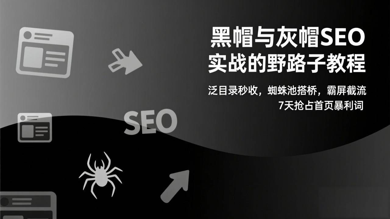 （17125期）黑帽与灰帽SEO实战的野路子教程：泛目录秒收，蜘蛛池搭桥，霸屏截流，7天抢占首页暴利词-创业资源网