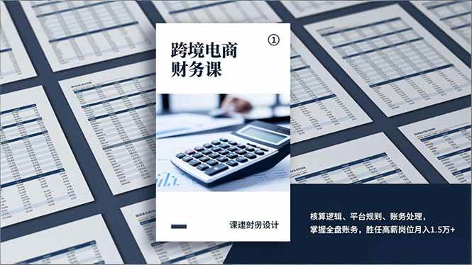 （17036期）跨境电商财务课，核算逻辑、平台规则、账务处理，掌握全盘账务，胜任高薪岗位月入1.5万+-创业资源网