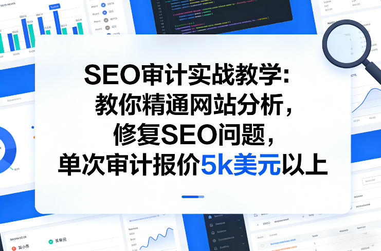 SEO审计实战教学:教你精通网站分析,修复SEO问题,单次审计报价5k美元以上-创业资源网