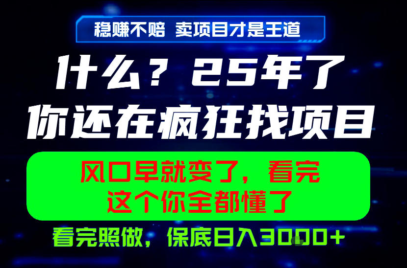 26年,请不要疯狂的找项目做了!卖项目才是真的稳賺不赔,看完照做,保底日入1k+【揭秘】-创业资源网