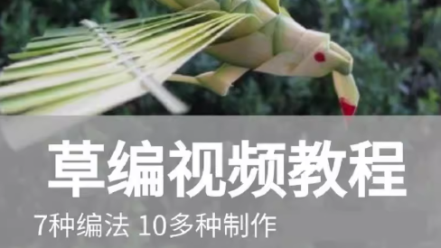 草编教程视频教学棕编叶技法柳编简单手工编法制作步骤玉米皮动物-创业资源网